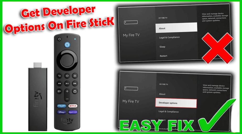 How To Get Developer Options On Fire Stick?